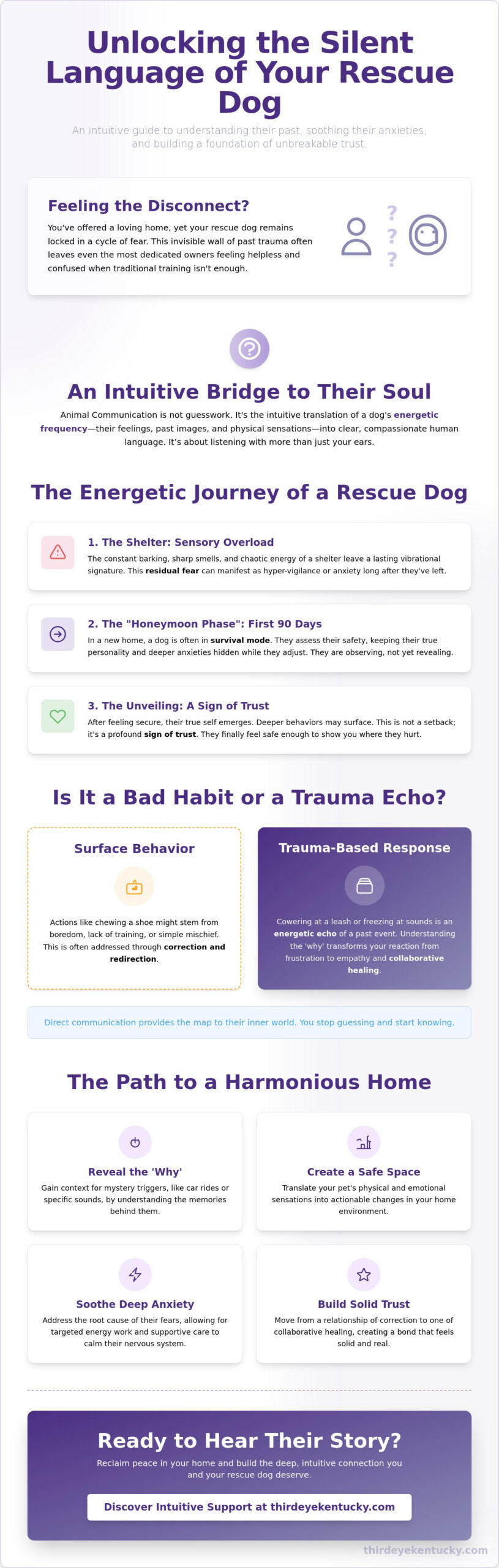 Animal Communicator for Rescue Dogs in Sacramento: Healing the Silent Bond