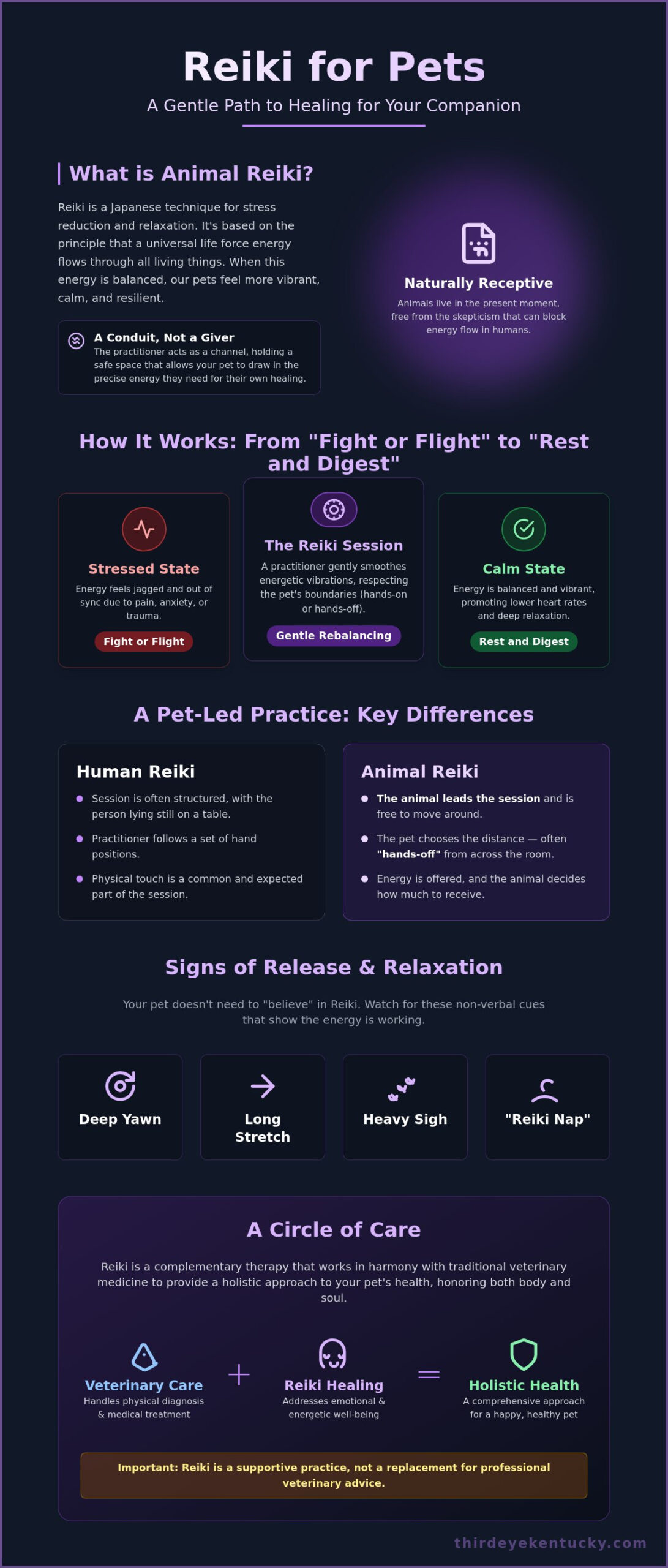 Reiki for Pets in Lexington, KY: A Grounded Guide to Energy Healing for Animals